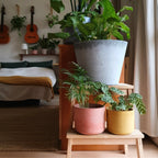 Gebog kaspók - 4 méret