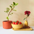 Orb tálak - 4 méret