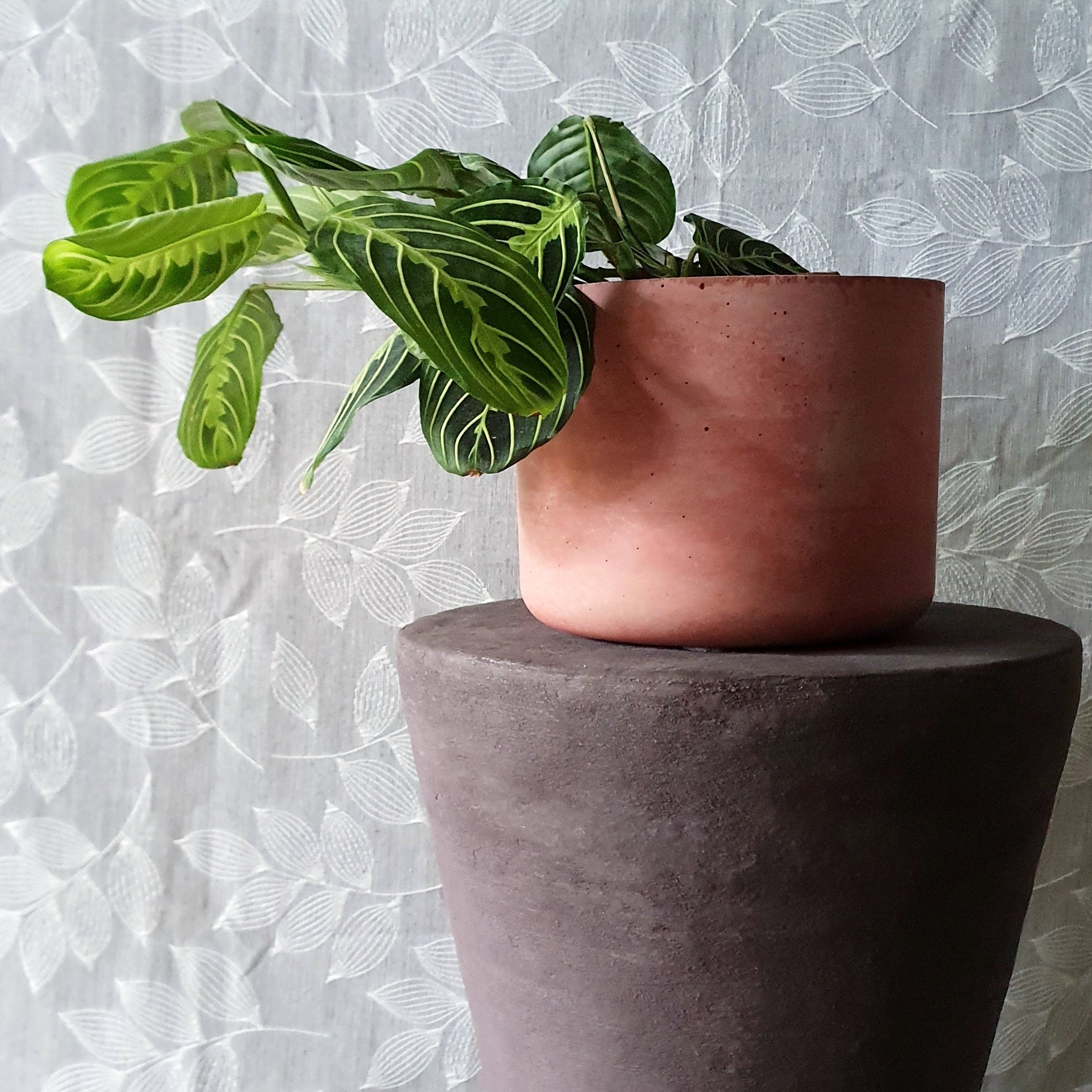 Timglas learakóasztal