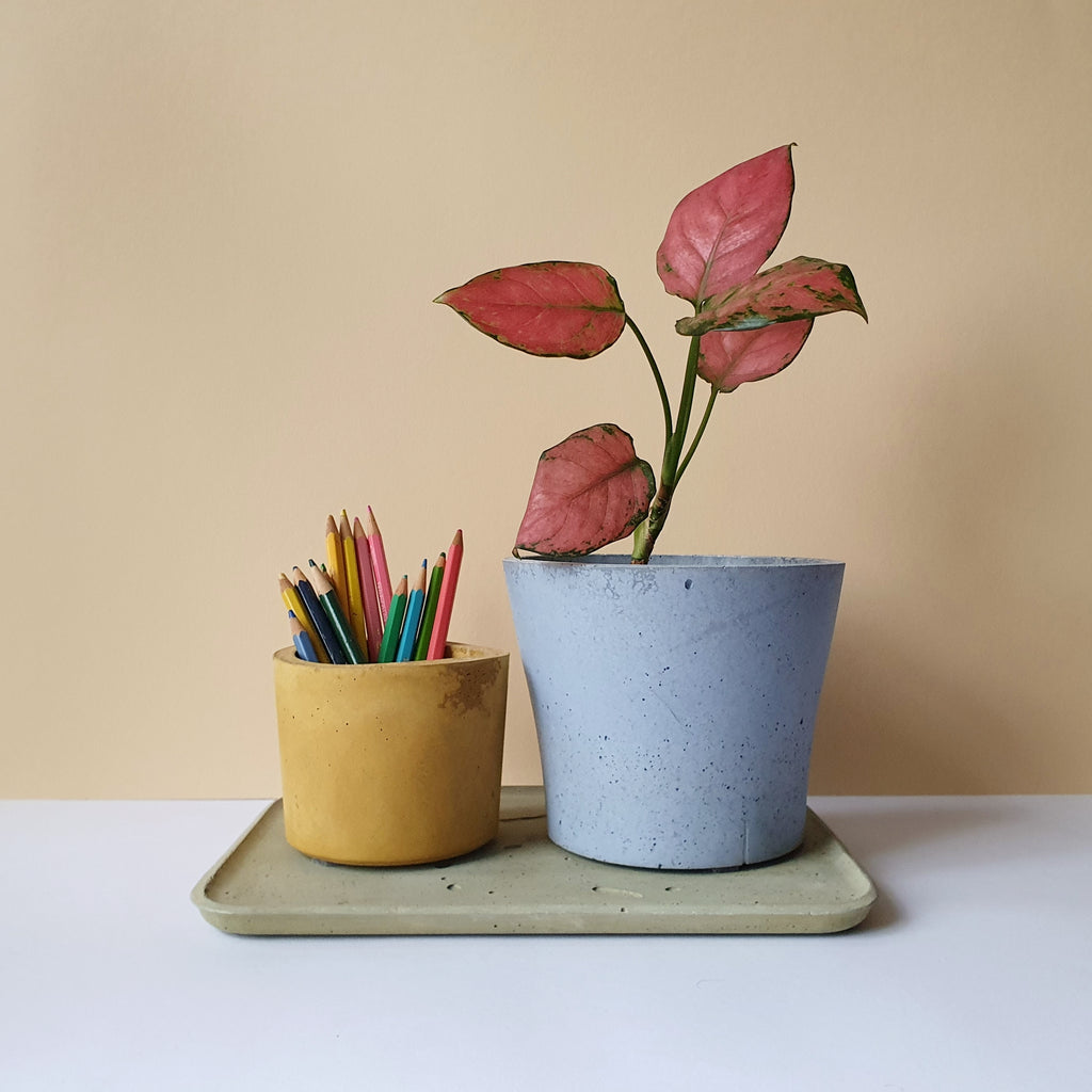 Buet kaspók - 2 méret