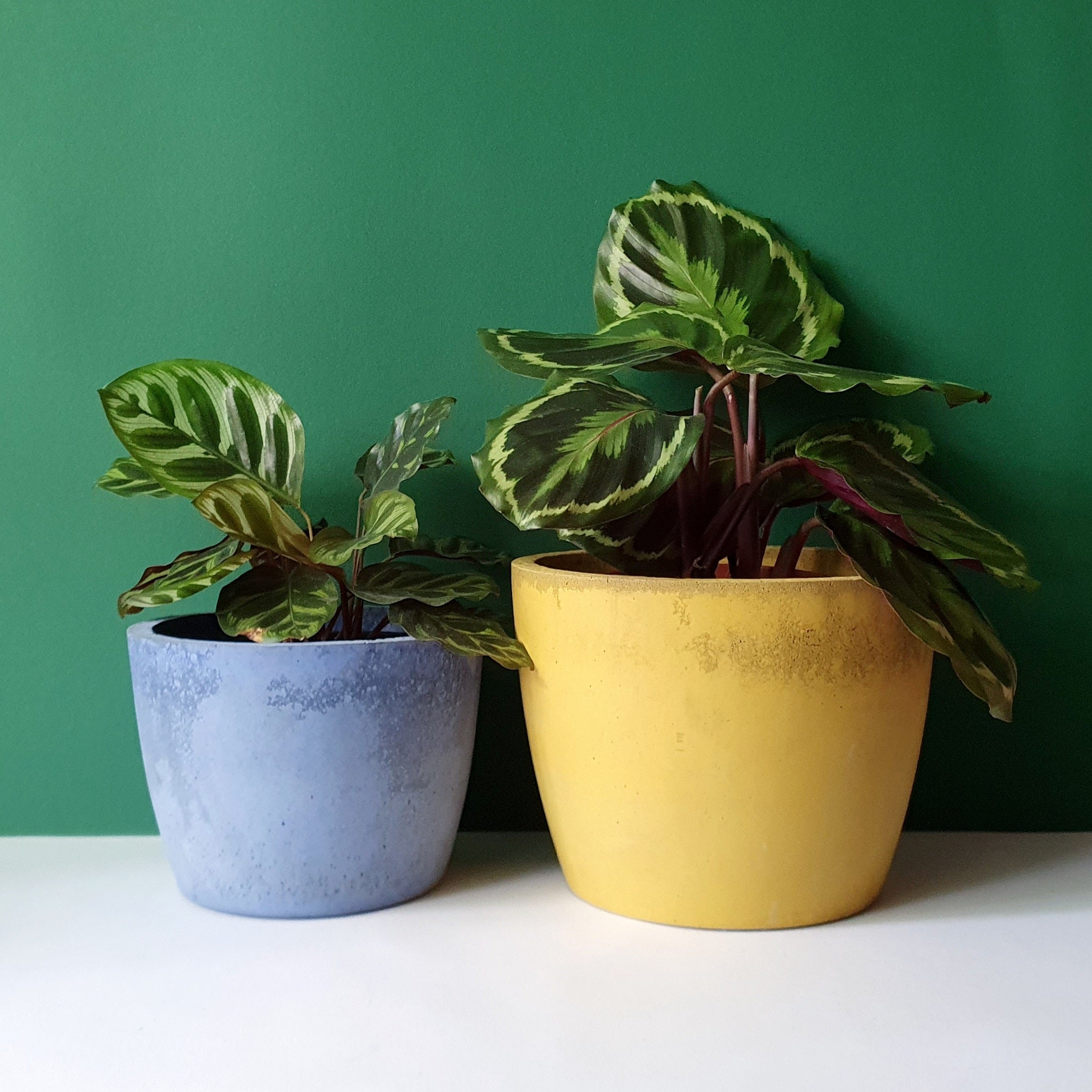 Rund kaspók - 2 méret