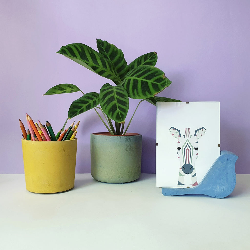 Paloma névjegykártyatartó