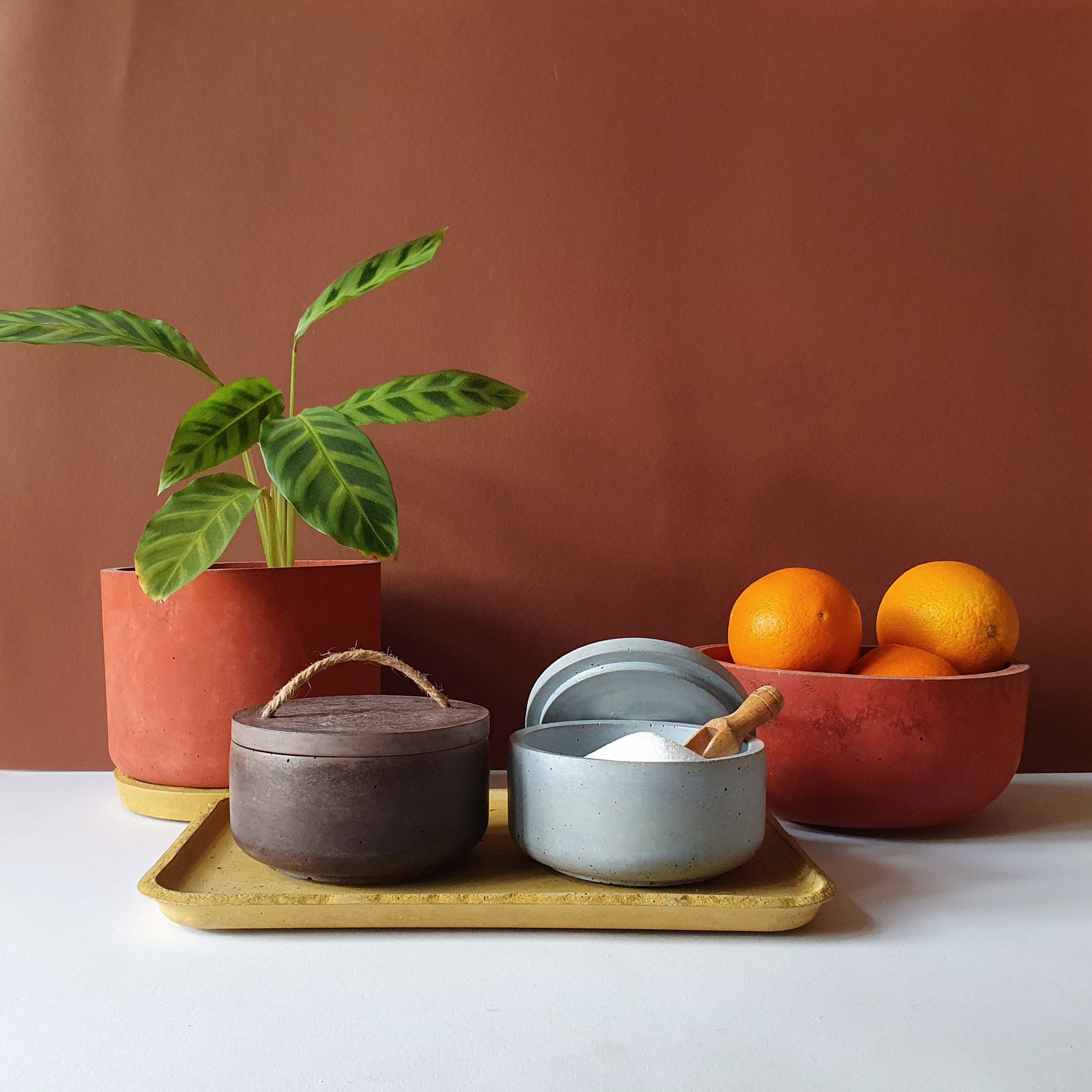 Gebog kaspók - 4 méret