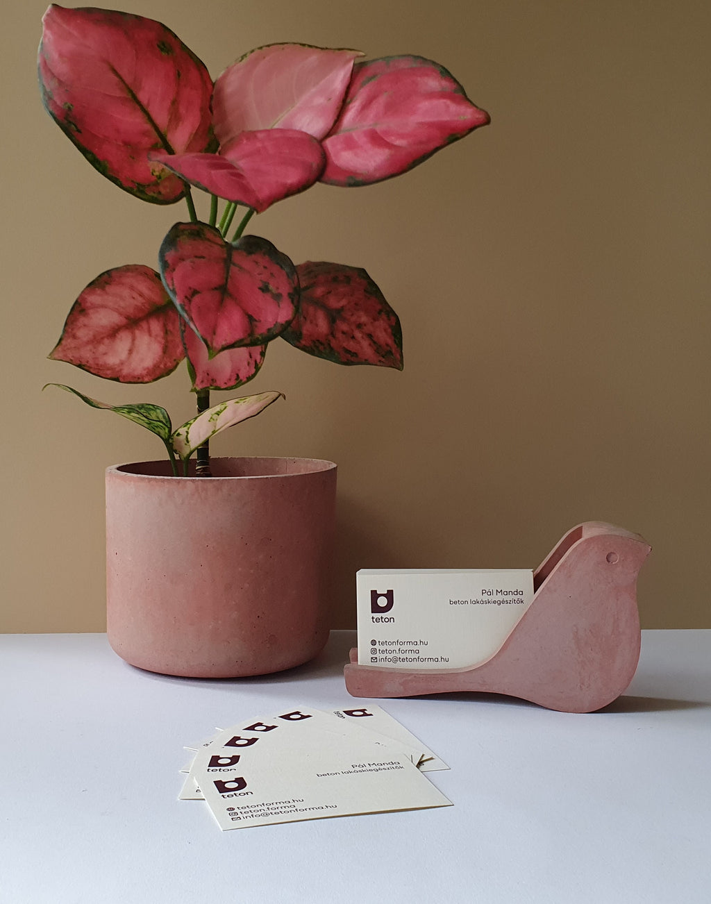 Paloma névjegykártyatartó