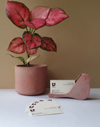 Paloma névjegykártyatartó