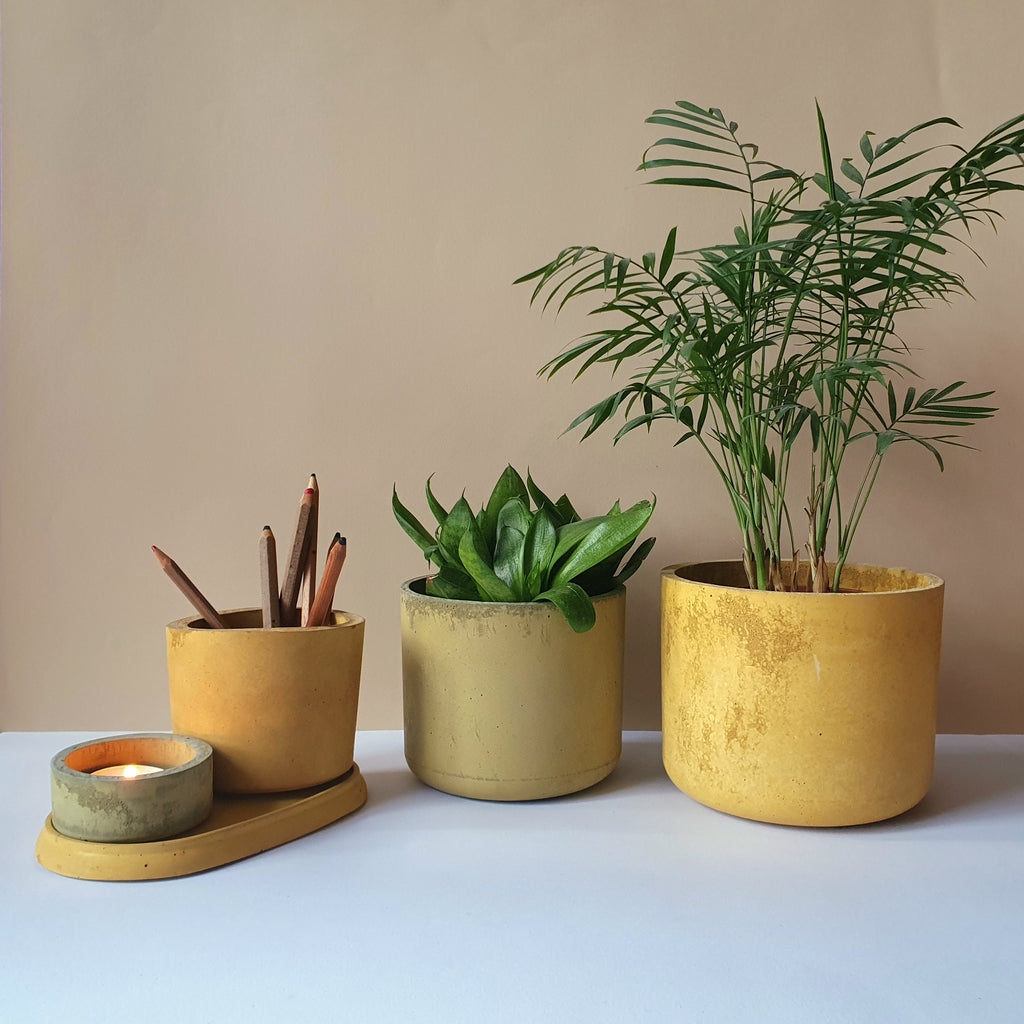 Gebog kaspók - 4 méret