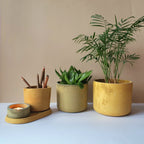 Gebog kaspók - 4 méret