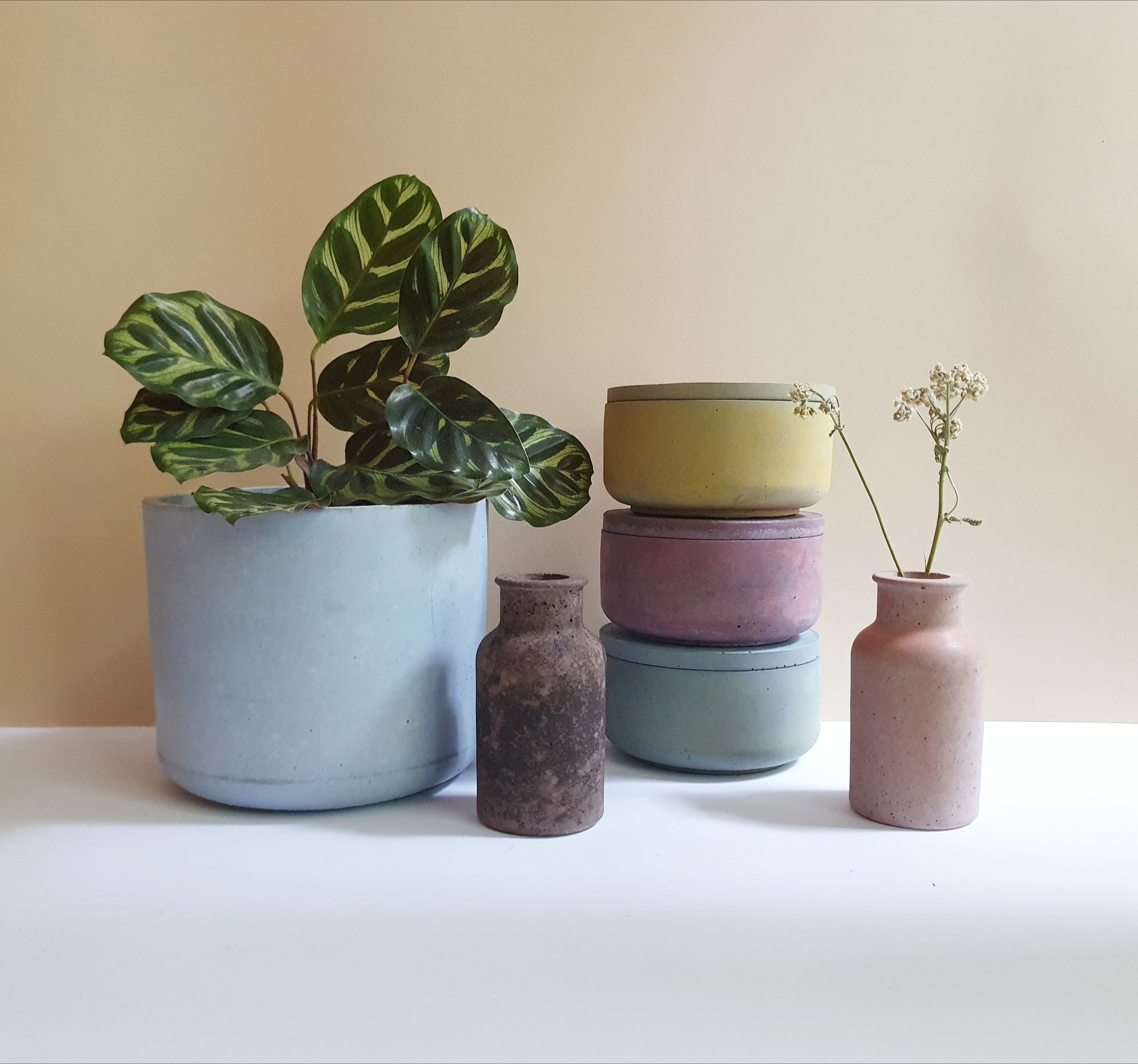 Gebog kaspók - 4 méret