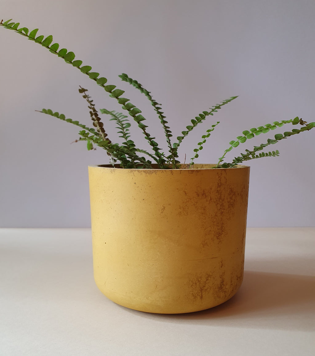 Gebog kaspók - 4 méret