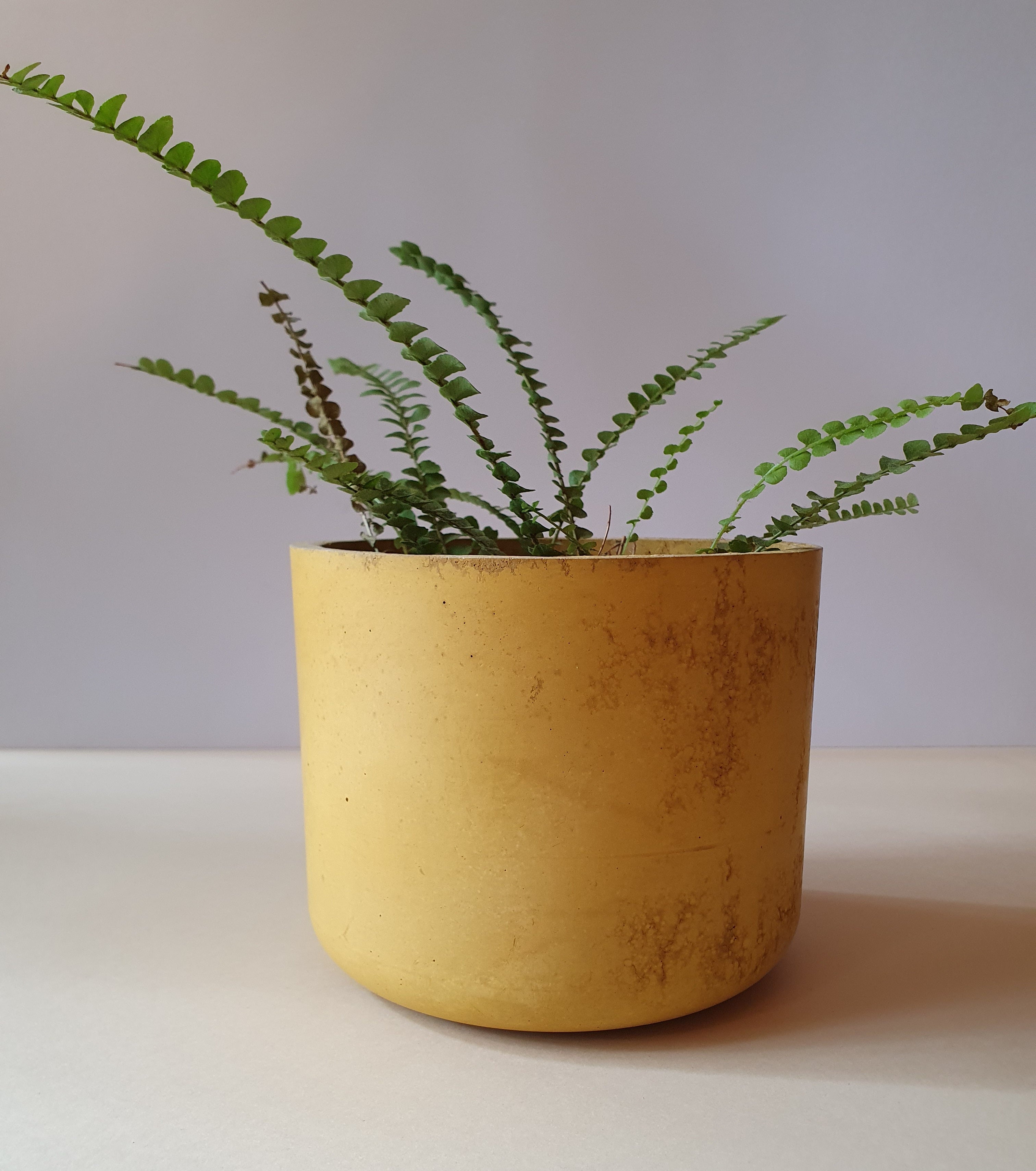 Gebog kaspók - 4 méret